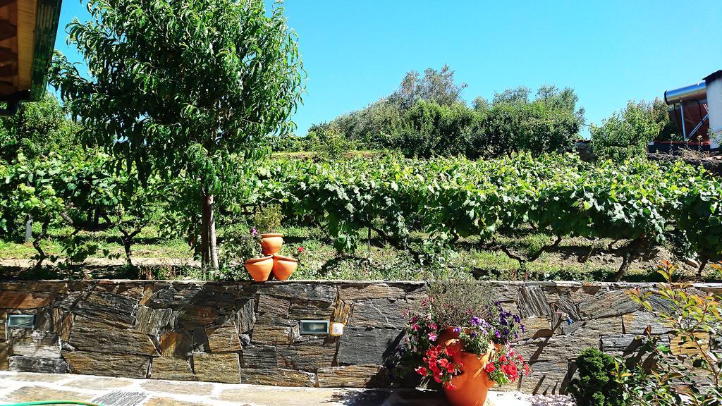 Douro Valley - Casa Vale do Douro Lamego Extérieur photo